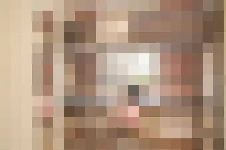 Peppelbos 42 Geldermalsen thumbnail 18