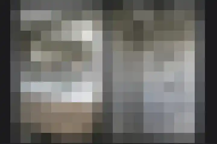 Peppelbos 42 Geldermalsen thumbnail 19