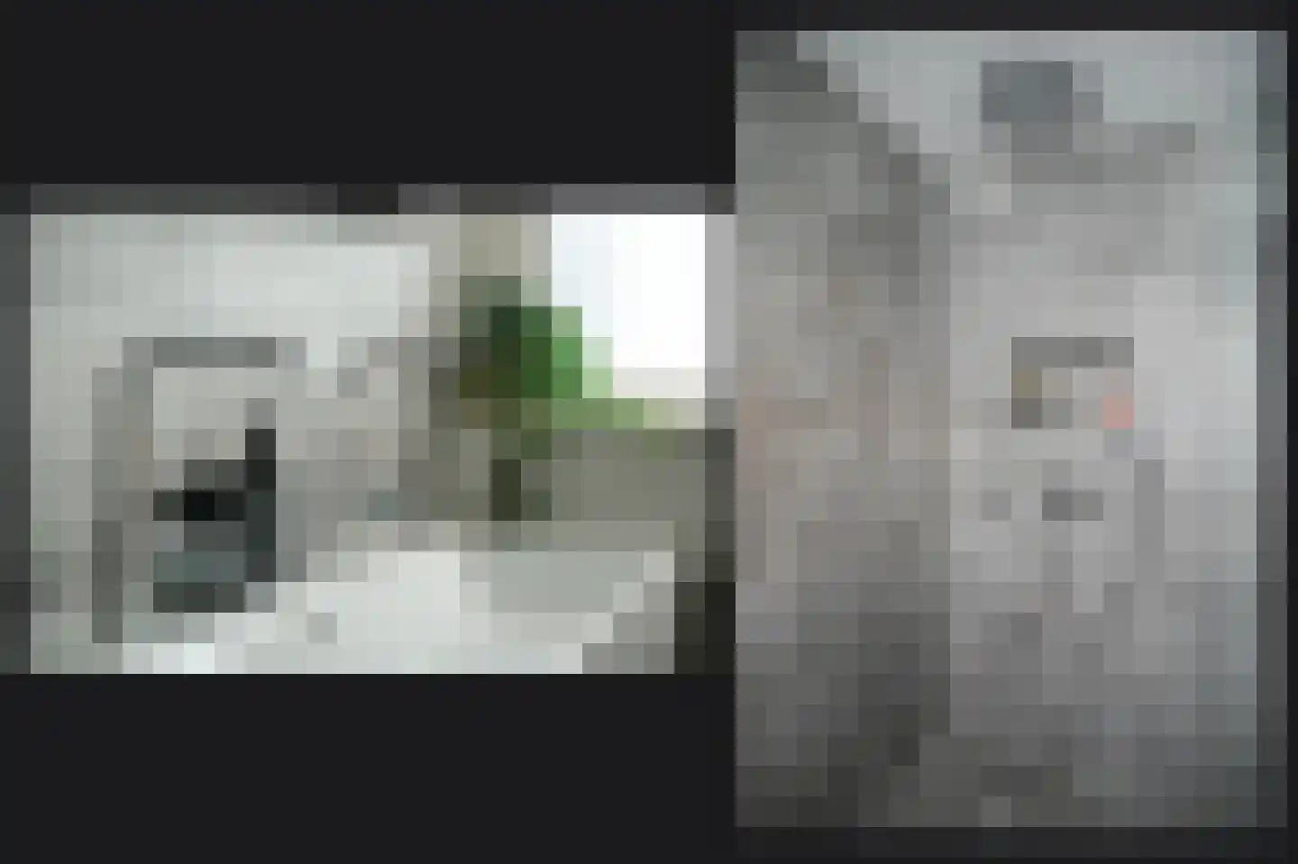 Peppelbos 42 Geldermalsen thumbnail 21
