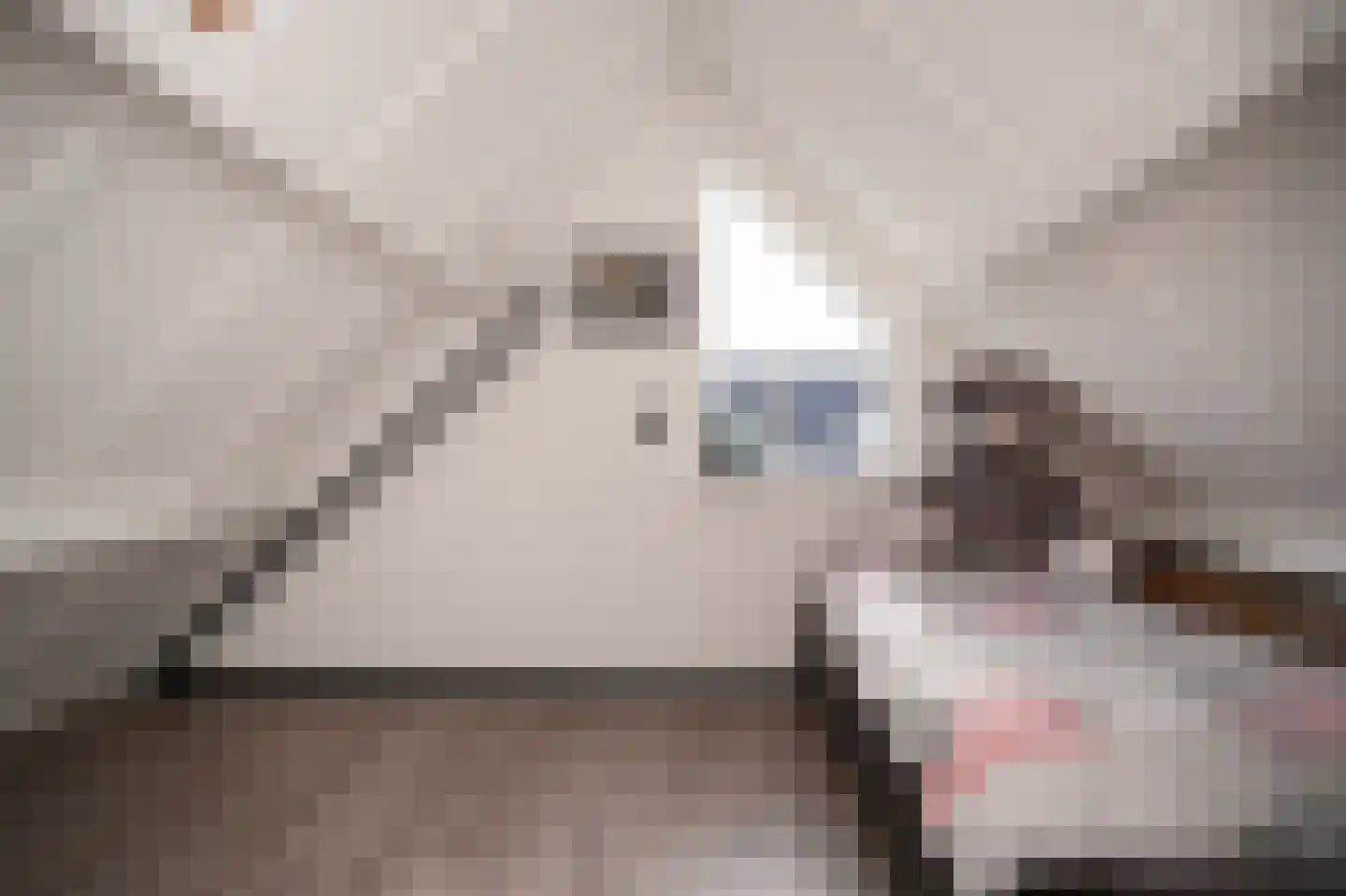 Peppelbos 42 Geldermalsen thumbnail 23