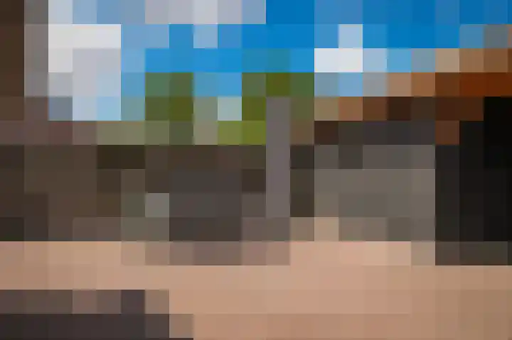 Peppelbos 42 Geldermalsen thumbnail 23