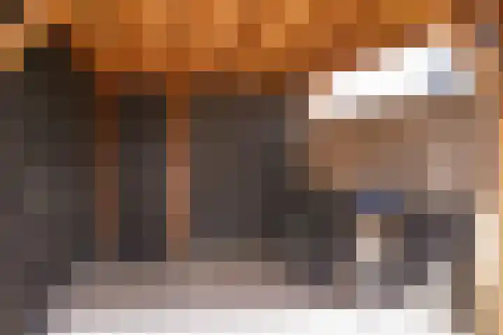 Peppelbos 42 Geldermalsen thumbnail 25