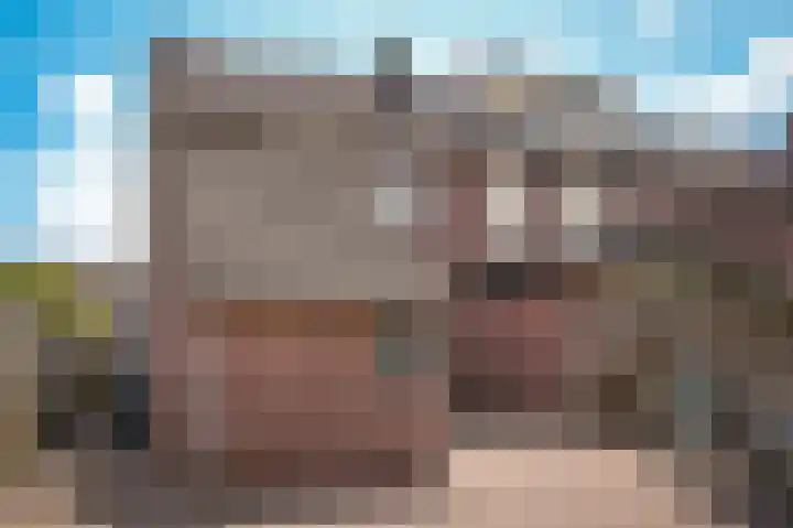 Peppelbos 42 Geldermalsen thumbnail 26