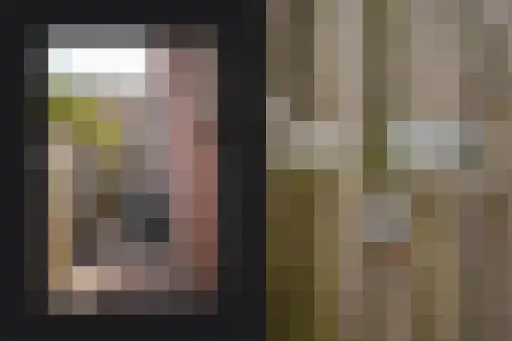 Peppelbos 42 Geldermalsen thumbnail 27