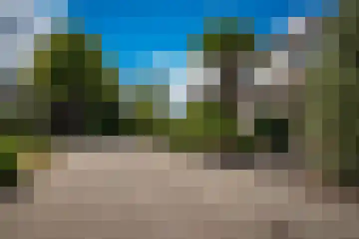 Peppelbos 42 Geldermalsen thumbnail 30