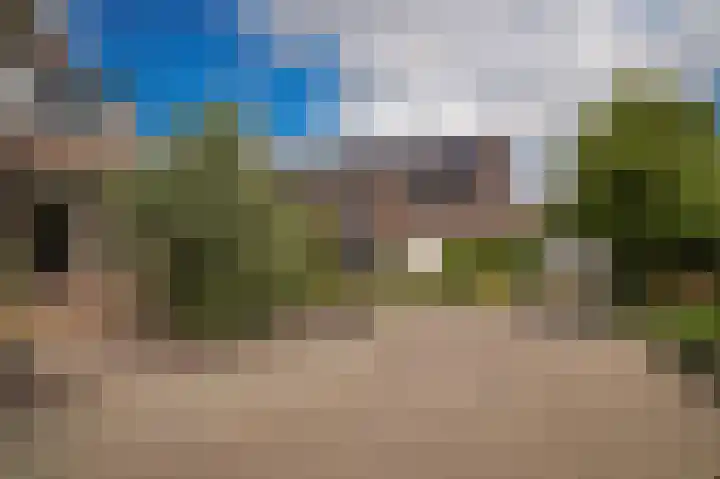 Peppelbos 42 Geldermalsen thumbnail 31