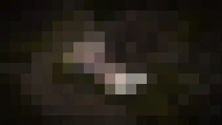 Peppelbos 42 Geldermalsen thumbnail 32
