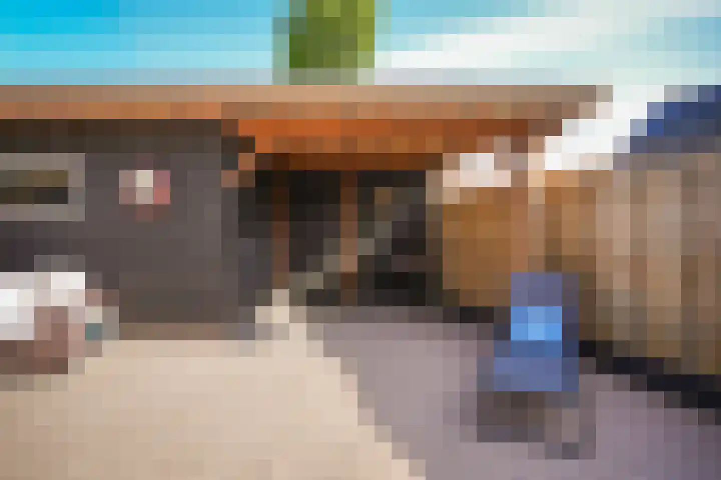 Peppelbos 42 Geldermalsen thumbnail 32