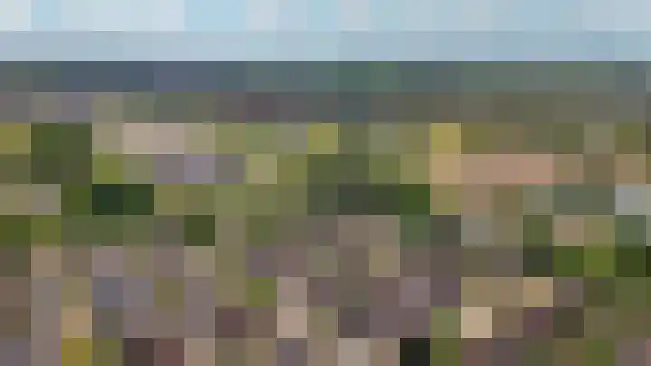 Peppelbos 42 Geldermalsen thumbnail 33