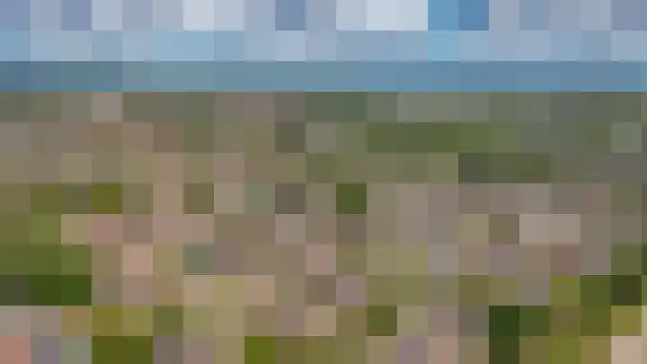 Peppelbos 42 Geldermalsen thumbnail 34