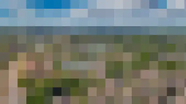 Peppelbos 42 Geldermalsen thumbnail 35