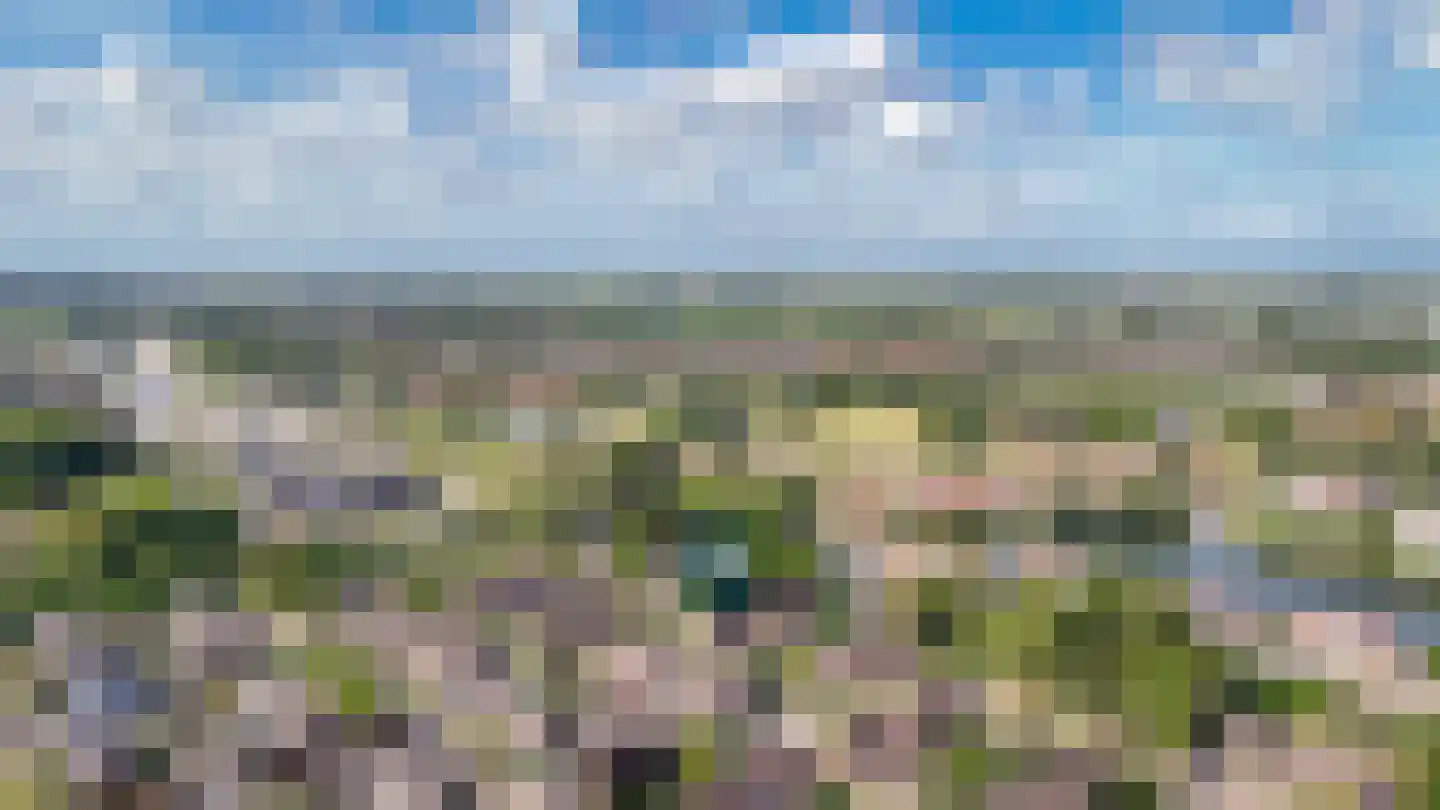 Peppelbos 42 Geldermalsen thumbnail 42