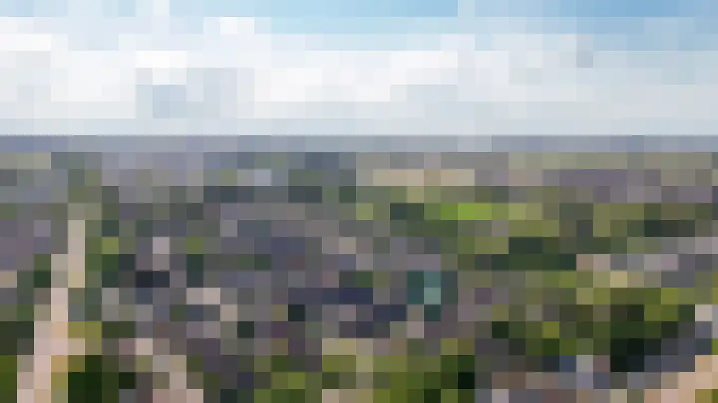 Peppelbos 42 Geldermalsen thumbnail 44