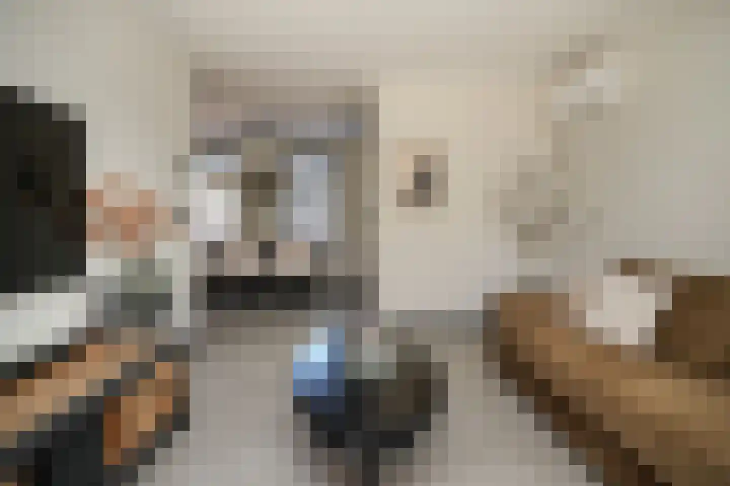 Peppelbos 42 Geldermalsen thumbnail 6