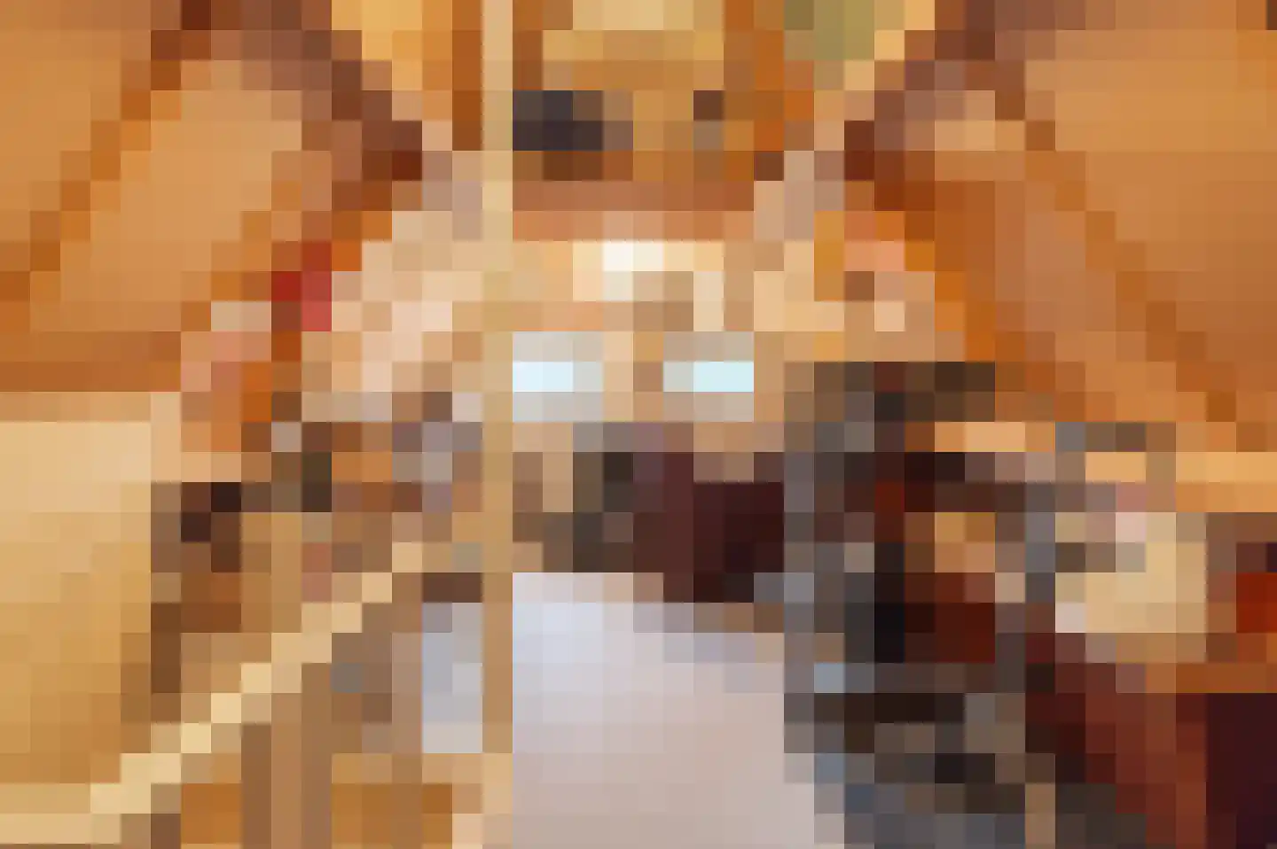 Peppelbos 60 Geldermalsen thumbnail 28