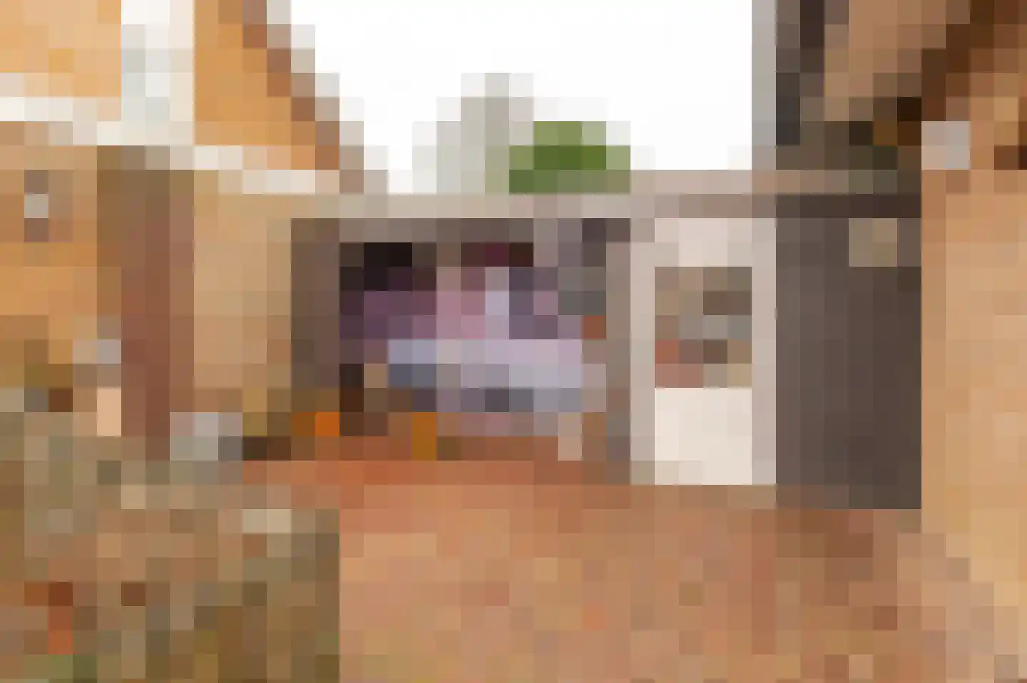 Peppelbos 60 Geldermalsen thumbnail 32