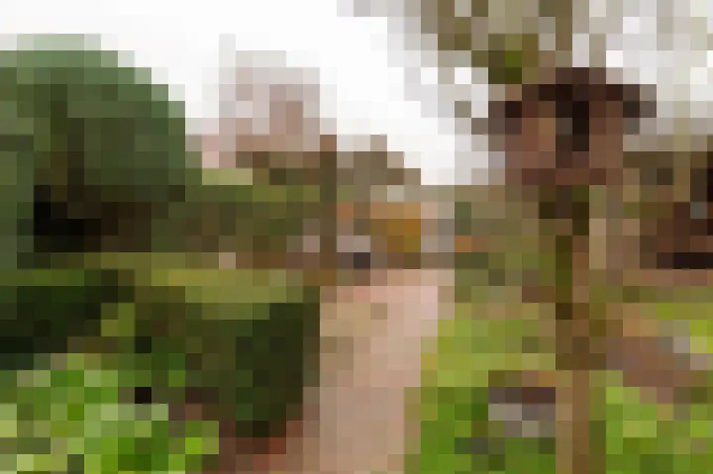 Peppelbos 60 Geldermalsen thumbnail 35