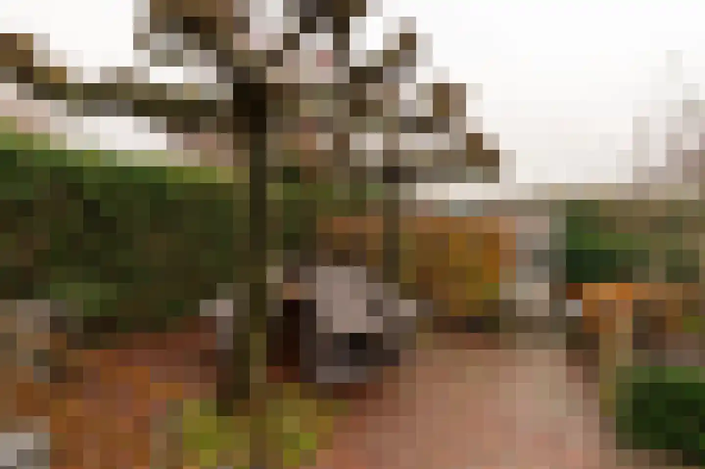 Peppelbos 60 Geldermalsen thumbnail 36