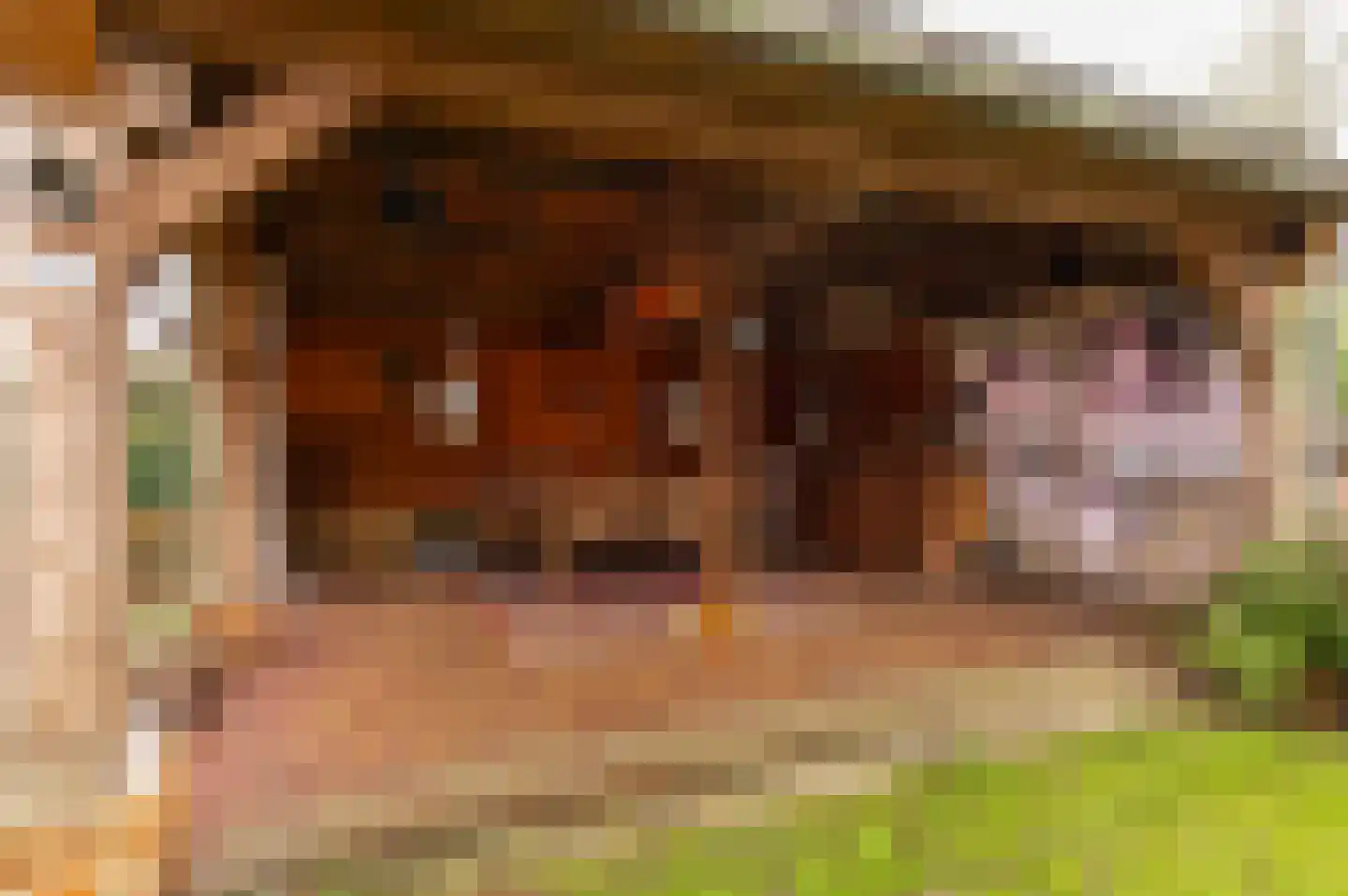 Peppelbos 60 Geldermalsen thumbnail 38