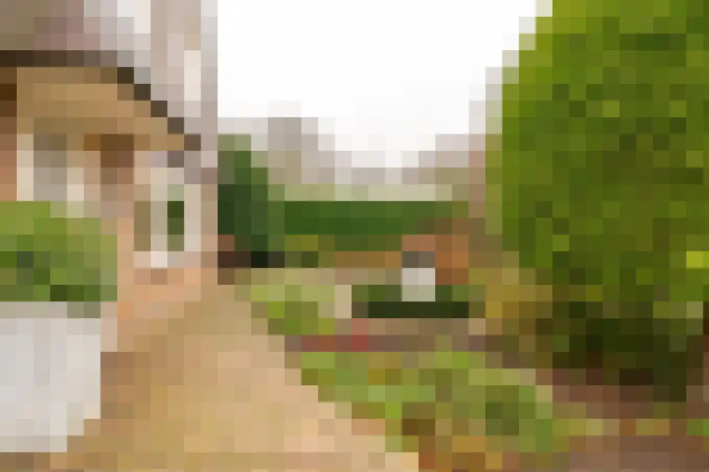 Peppelbos 60 Geldermalsen thumbnail 4