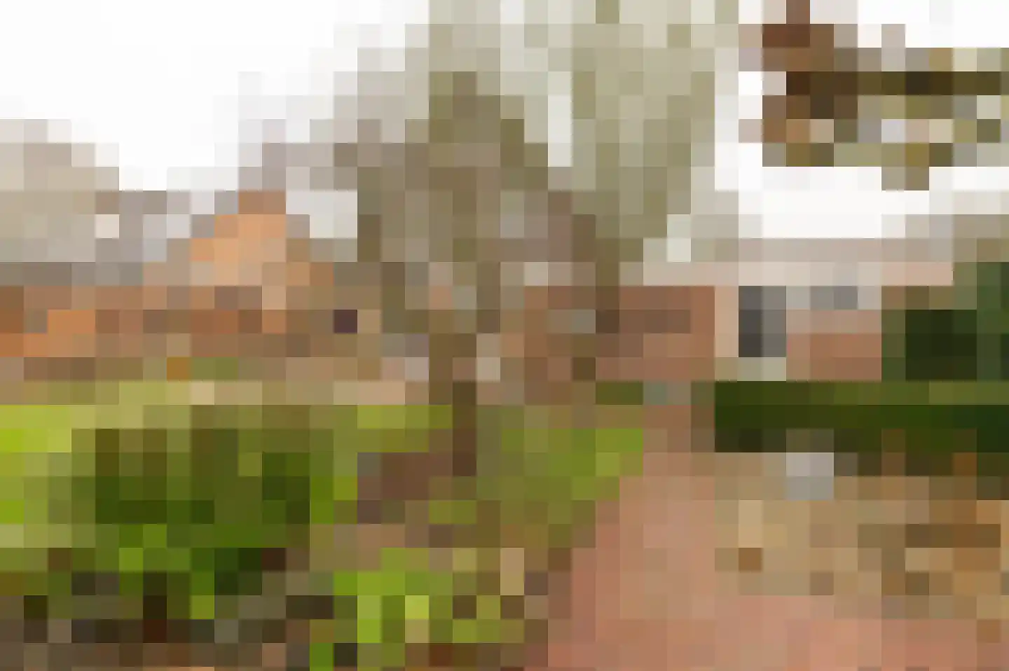 Peppelbos 60 Geldermalsen thumbnail 40