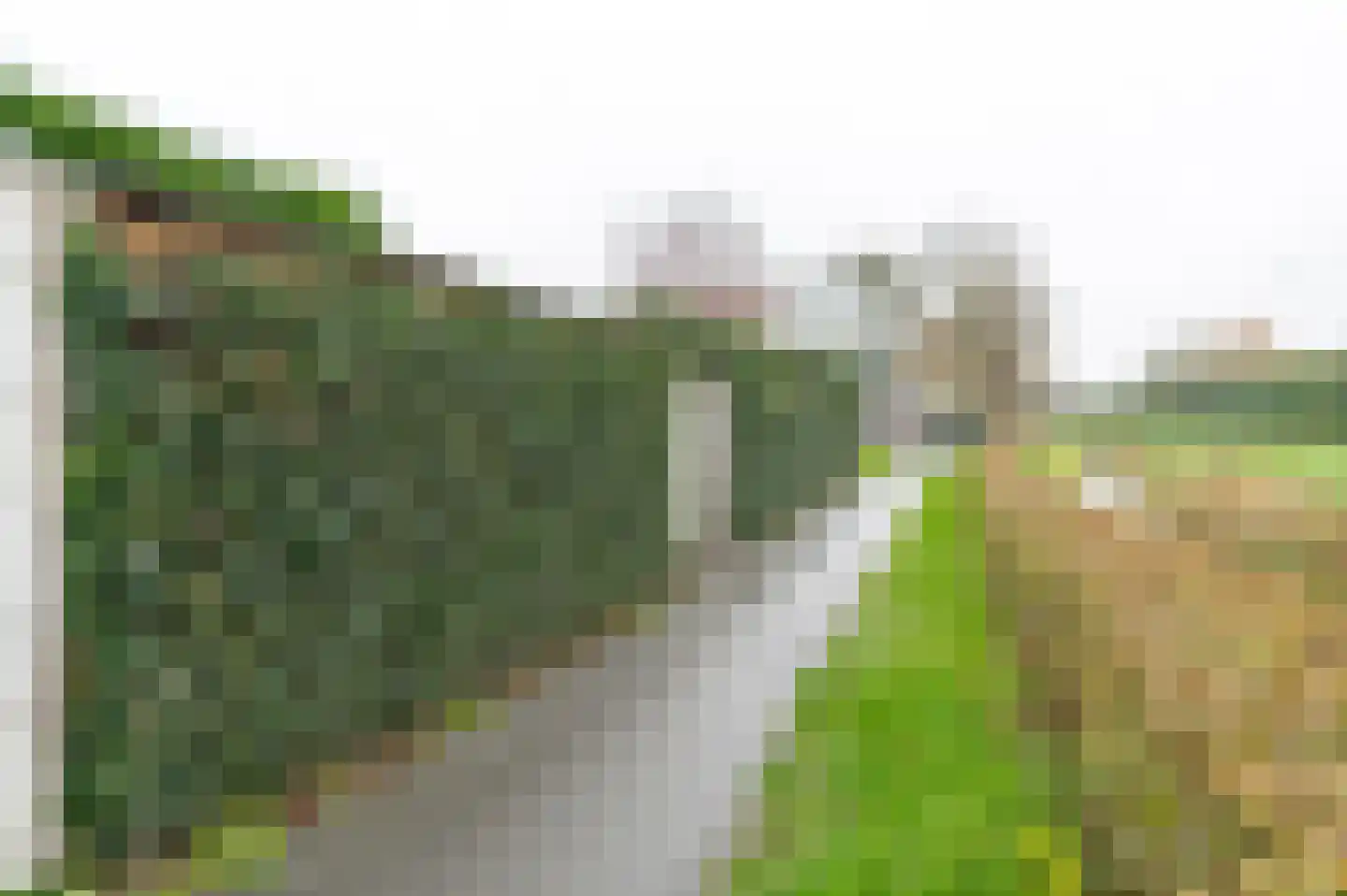 Peppelbos 60 Geldermalsen thumbnail 41