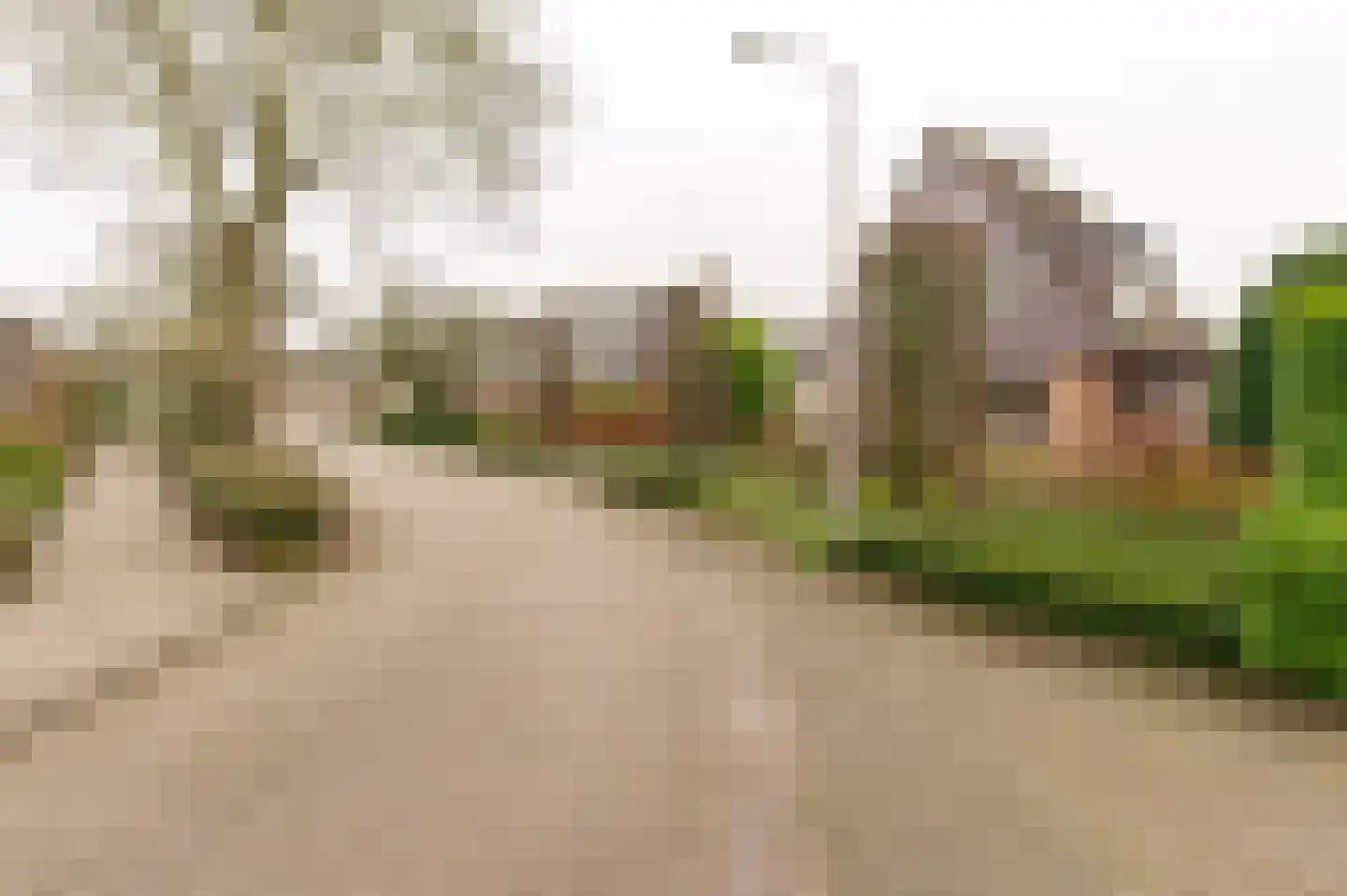 Peppelbos 60 Geldermalsen thumbnail 42