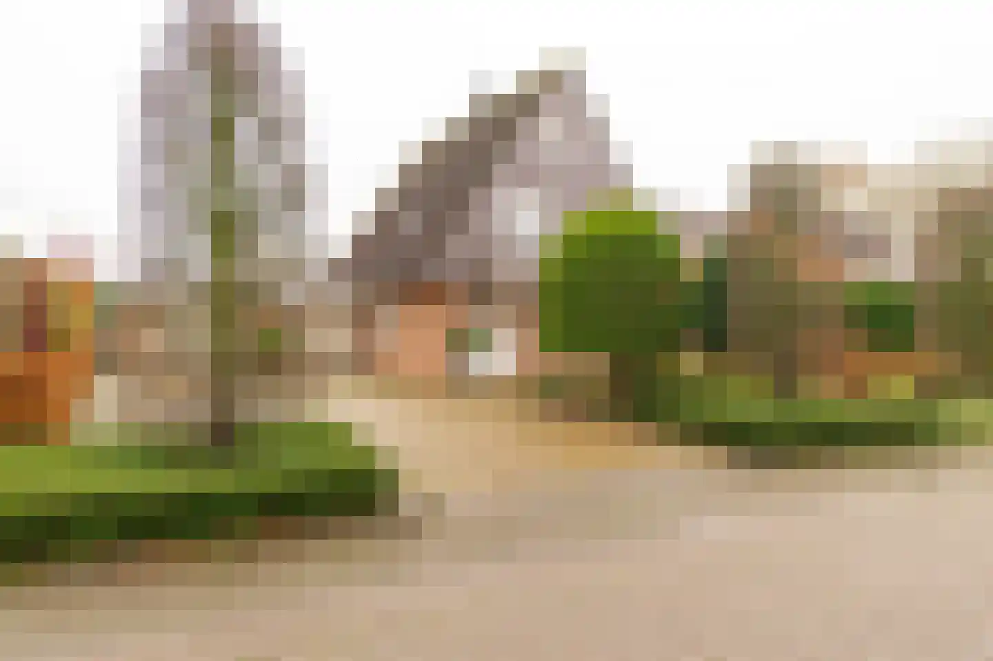 Peppelbos 60 Geldermalsen thumbnail 43