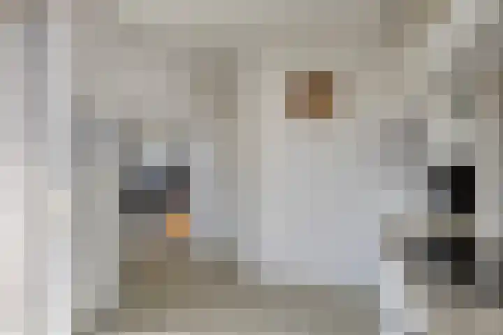 Peppeldreef 17 Geffen thumbnail 11
