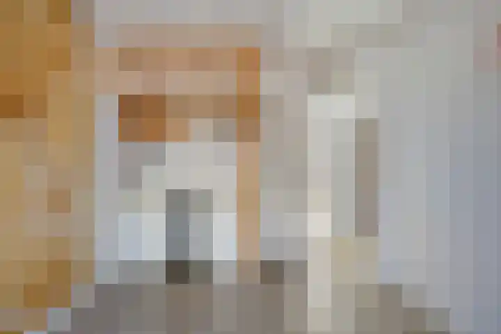 Peppeldreef 17 Geffen thumbnail 12