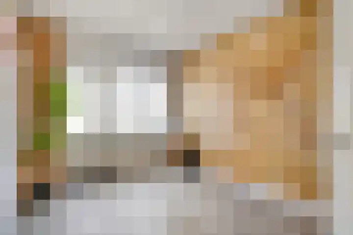 Peppeldreef 17 Geffen thumbnail 13
