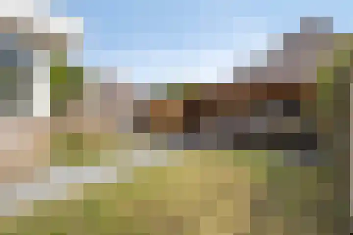 Peppeldreef 17 Geffen thumbnail 14