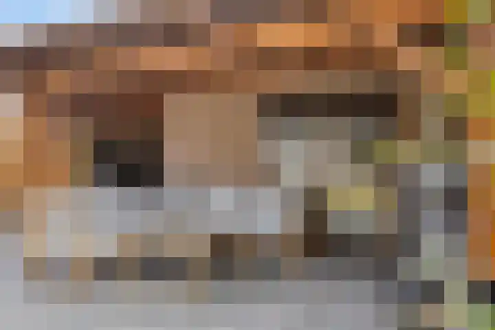 Peppeldreef 17 Geffen thumbnail 16