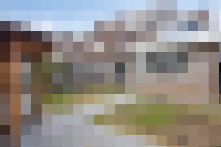 Peppeldreef 17 Geffen thumbnail 18