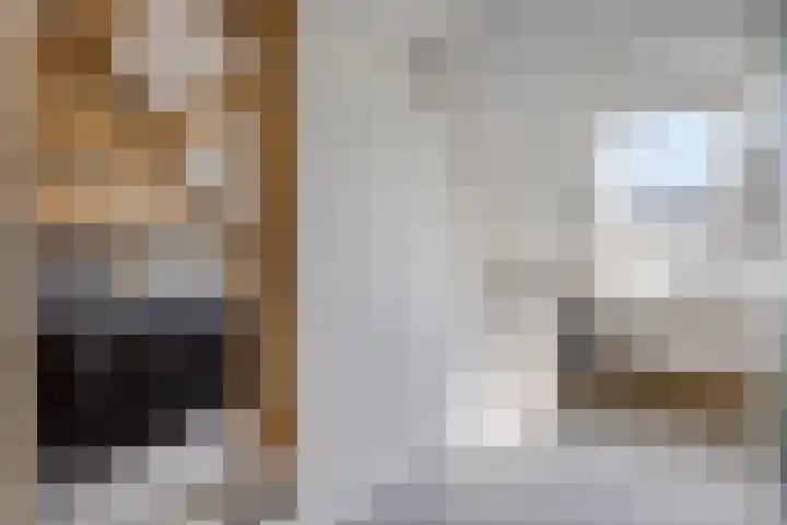 Peppeldreef 17 Geffen thumbnail 19