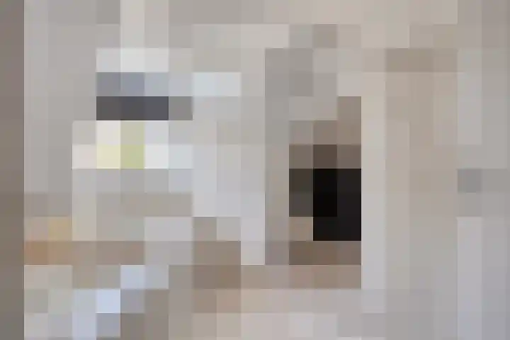 Peppeldreef 17 Geffen thumbnail 24