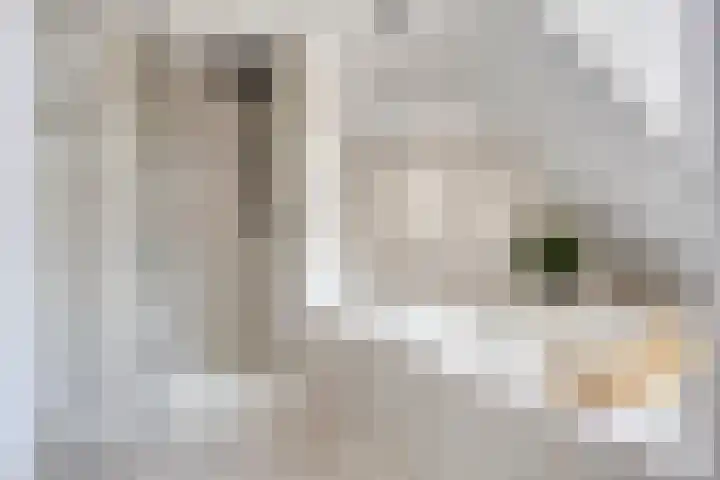 Peppeldreef 17 Geffen thumbnail 25