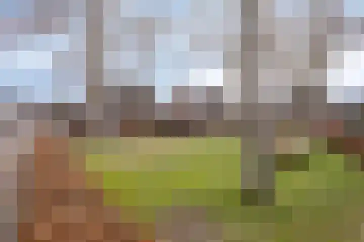 Peppeldreef 17 Geffen thumbnail 31