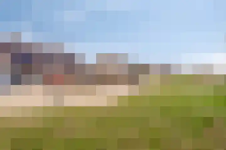 Peppeldreef 17 Geffen thumbnail 32