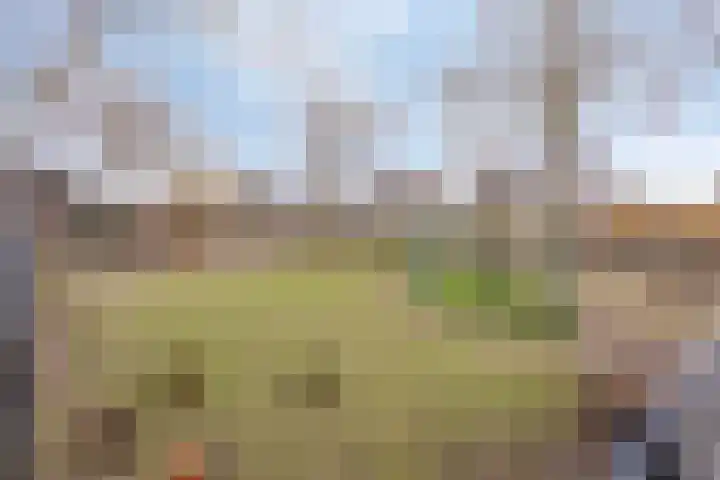 Peppeldreef 17 Geffen thumbnail 33