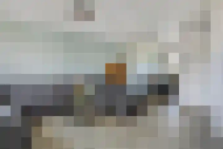 Peppeldreef 17 Geffen thumbnail 6
