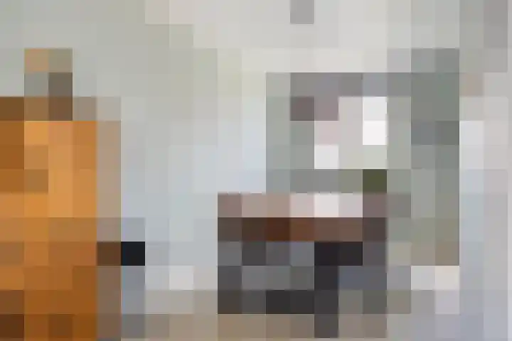 Peppeldreef 17 Geffen thumbnail 8