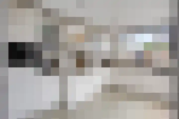 Peppeldreef 17 Geffen thumbnail 9