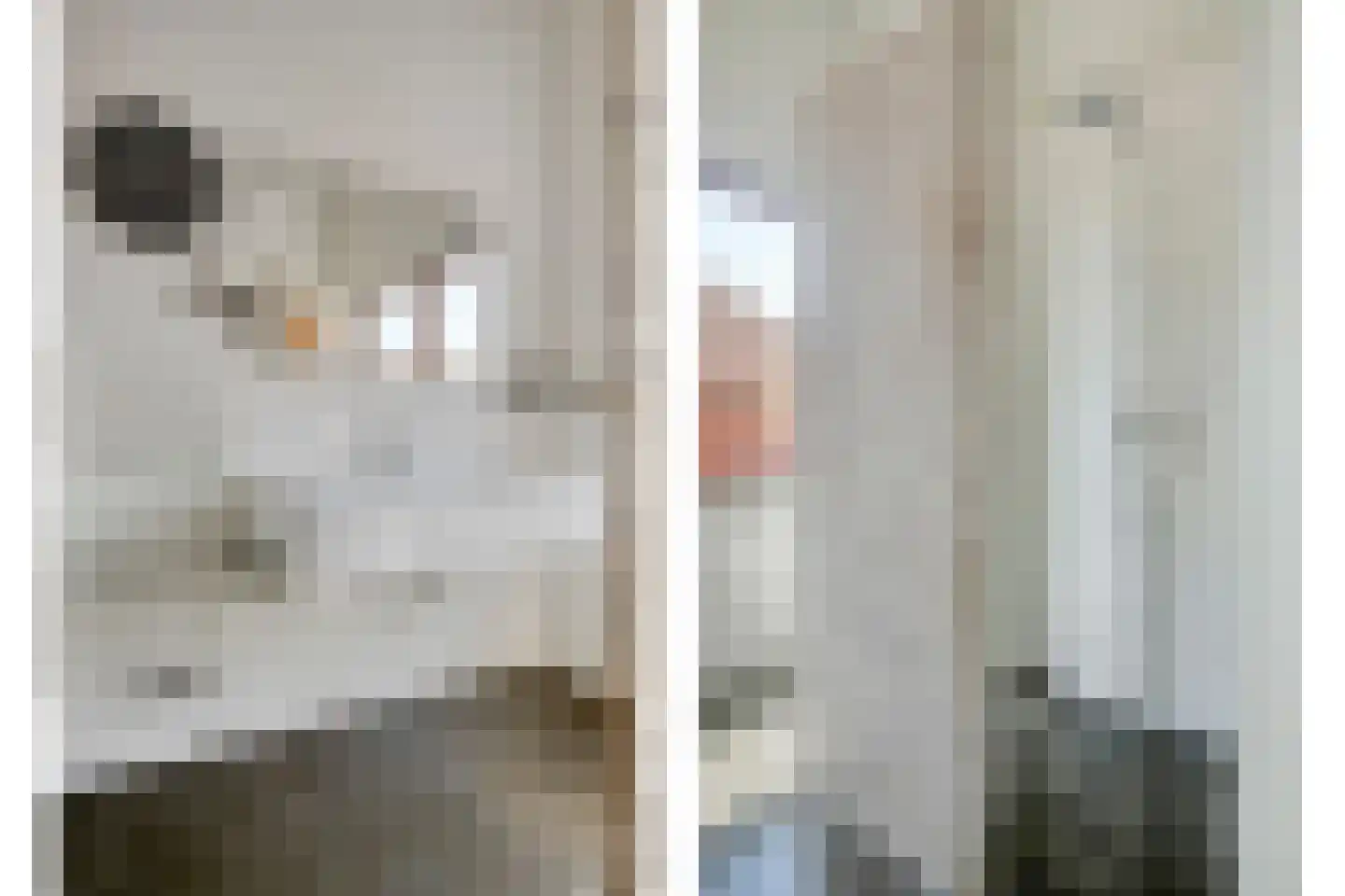 Peppeldreef 23 Kamperland thumbnail 13