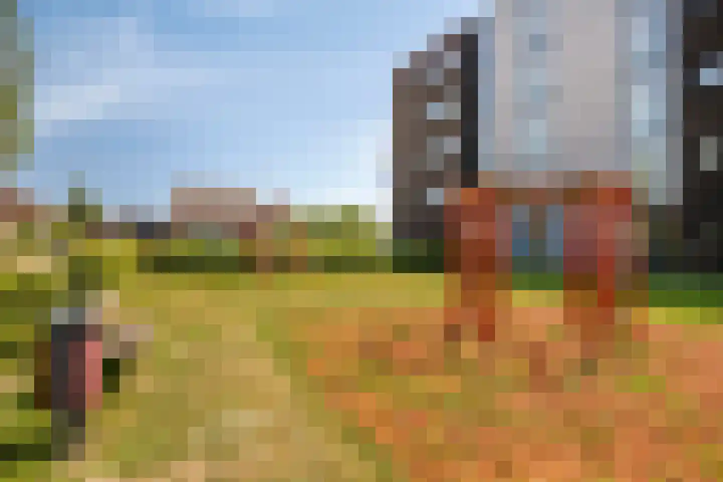 Peppeldreef 23 Kamperland thumbnail 27