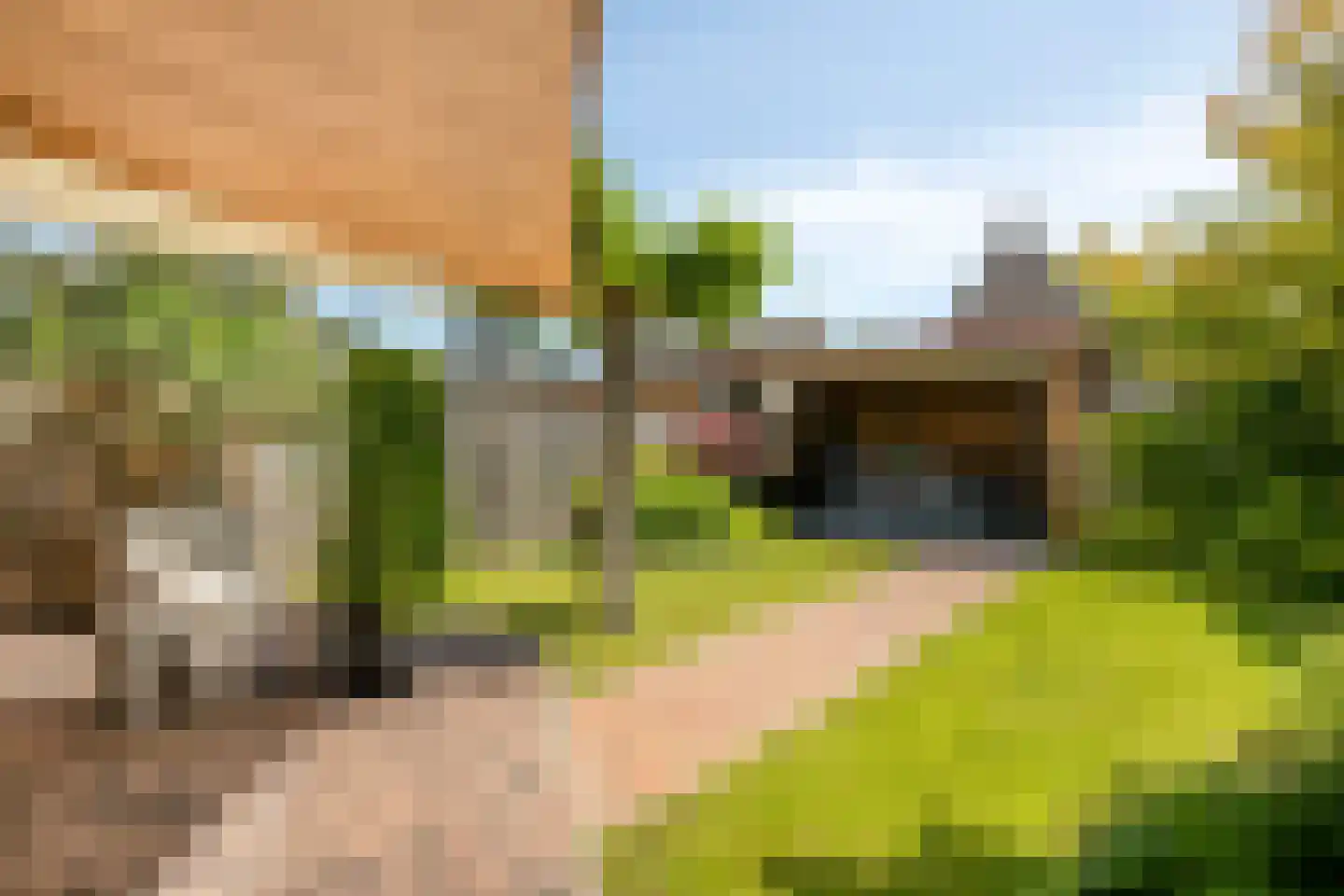 Peppeldreef 23 Kamperland thumbnail 4