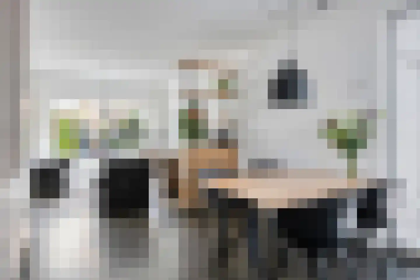 Peppeldreef 23 Kamperland thumbnail 6