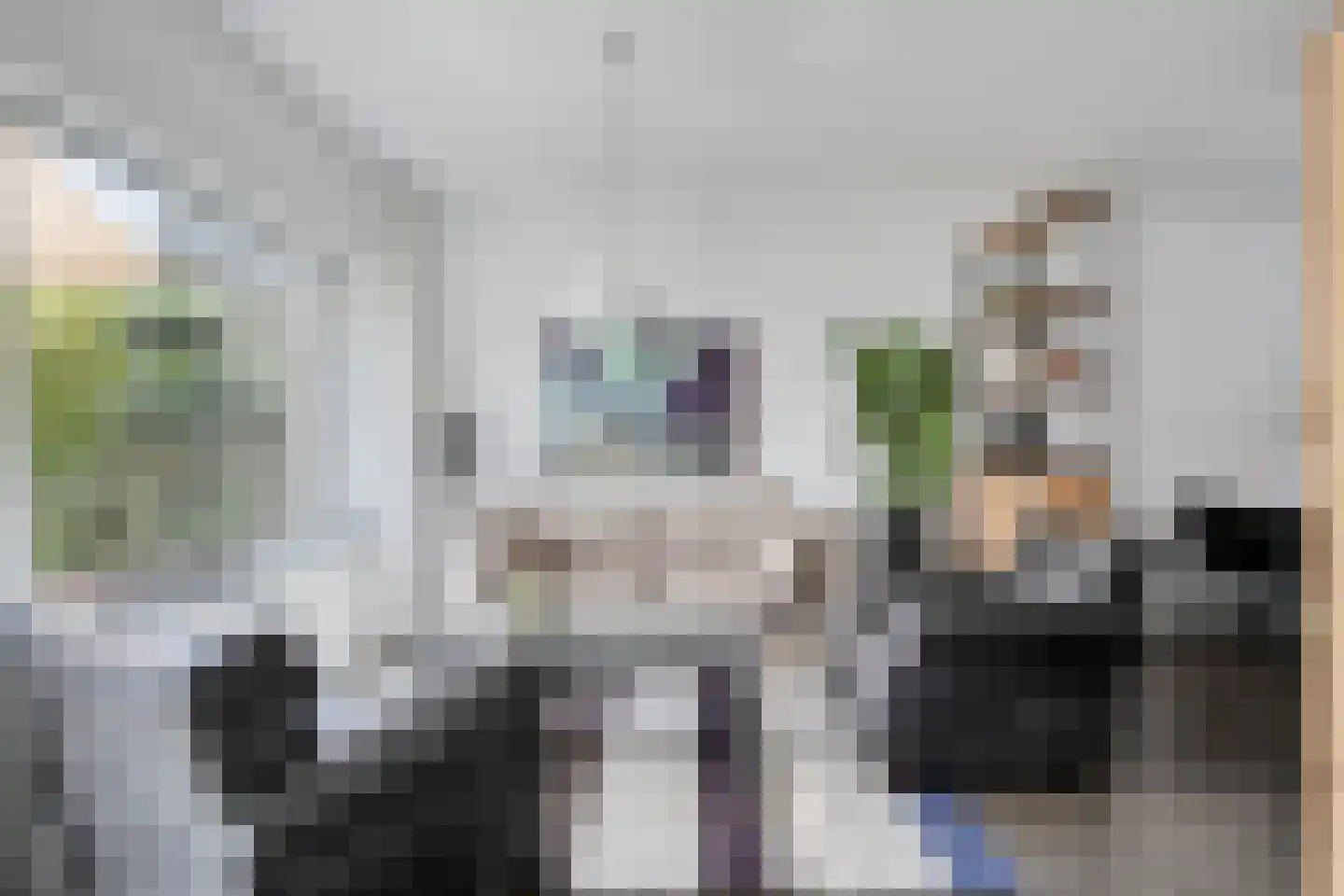 Peppeldreef 23 Kamperland thumbnail 8