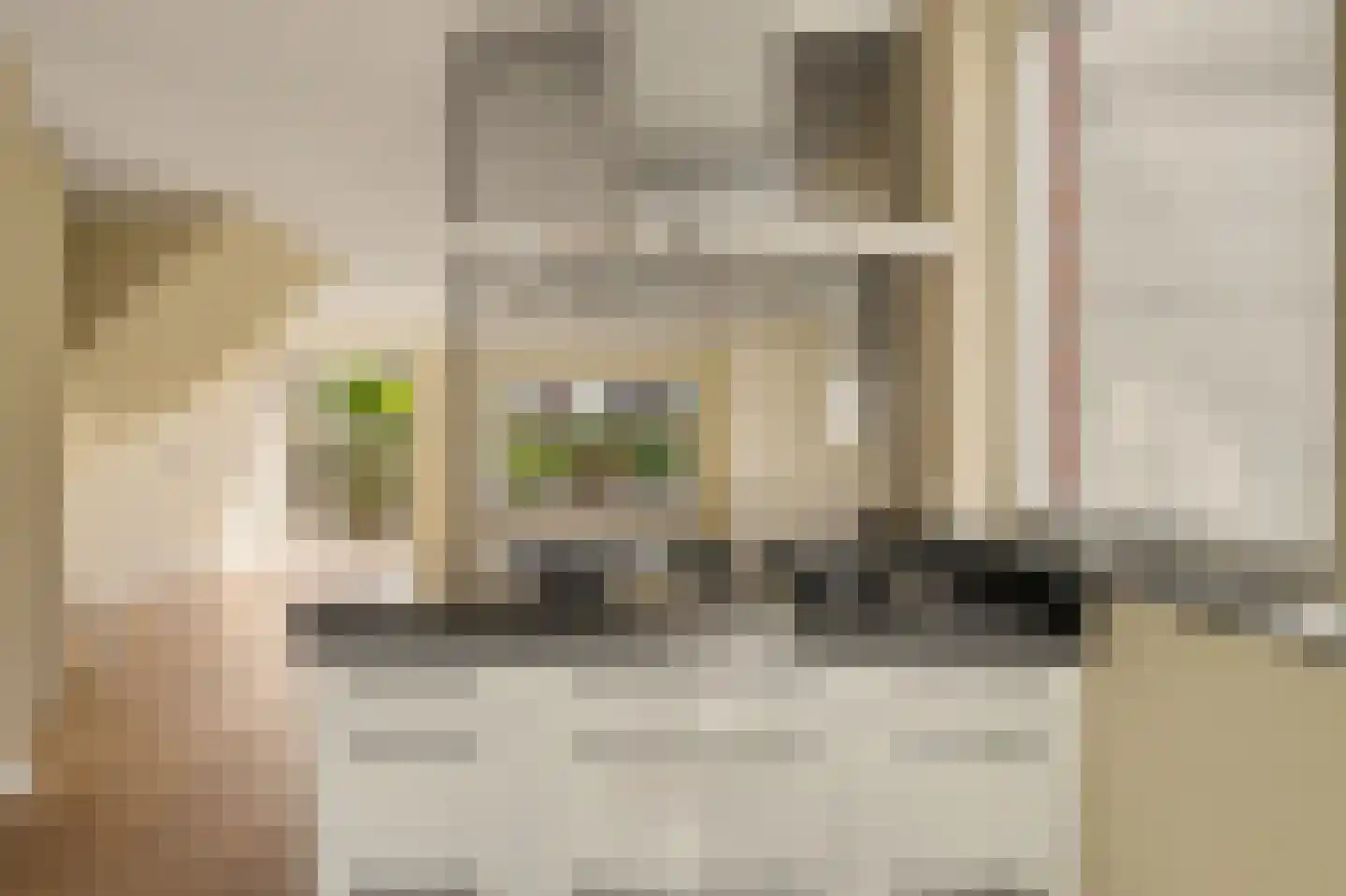 Peppeldreef 25 Kamperland thumbnail 13