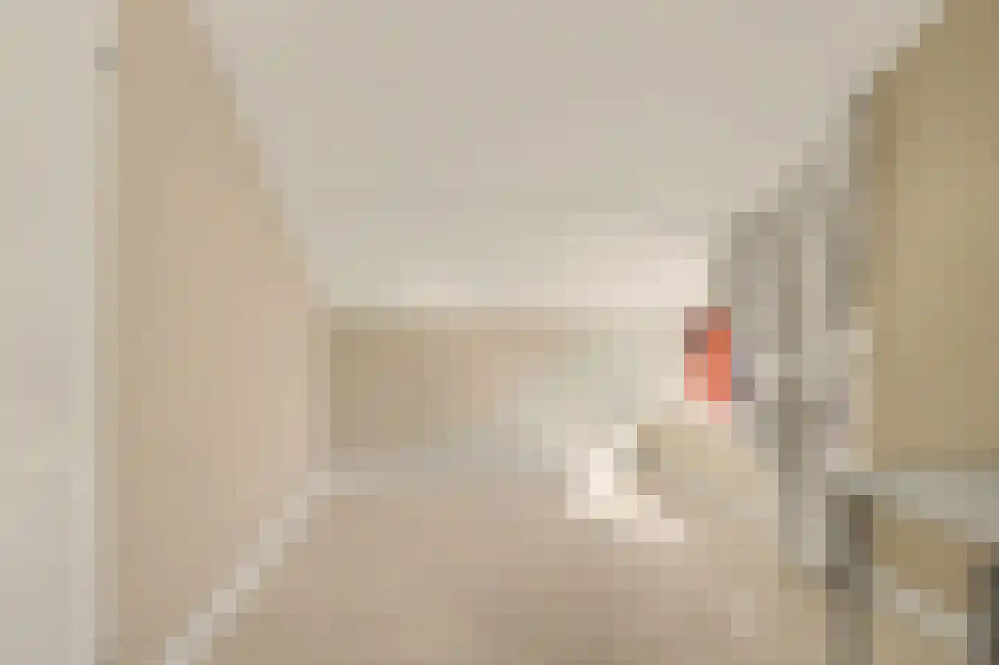 Peppeldreef 25 Kamperland thumbnail 18